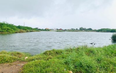 Cadre de vie et Protection de l’environnement